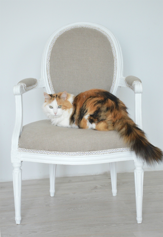 chair-restoration-cat-2doigtsdidee