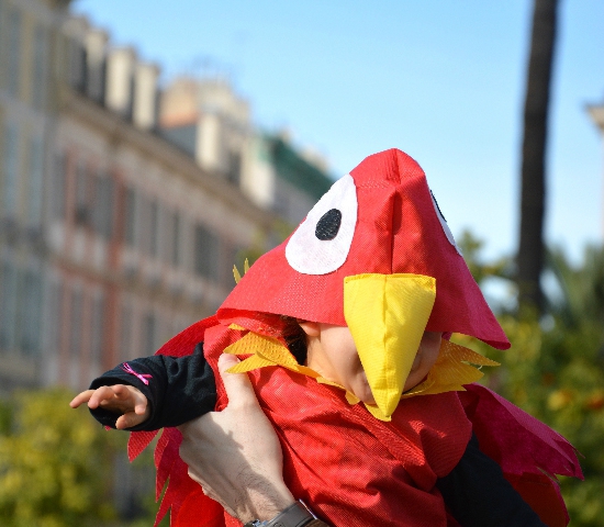 costume-perroquet-carnaval-2doigtsidee
