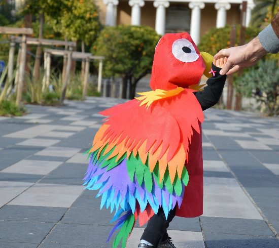 Mon bel Ara de carnaval : déguisement