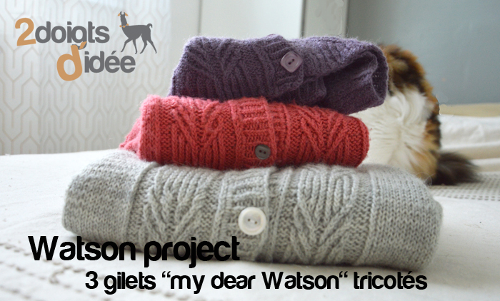 watson-project-2doigtsdidee