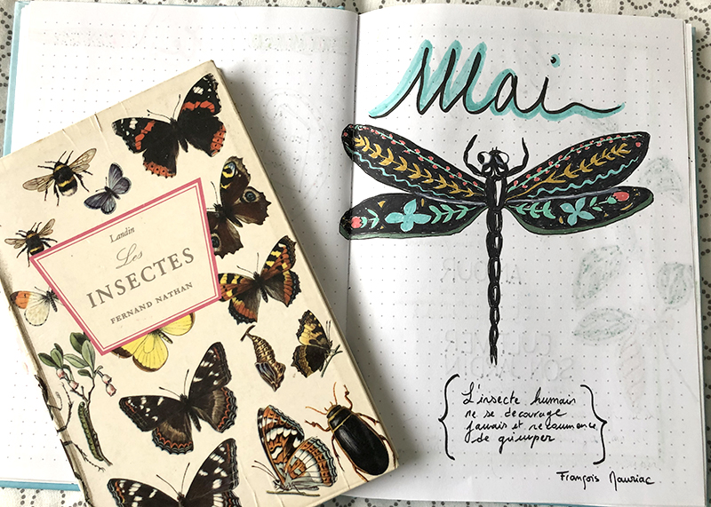 bujo mai theme insectes