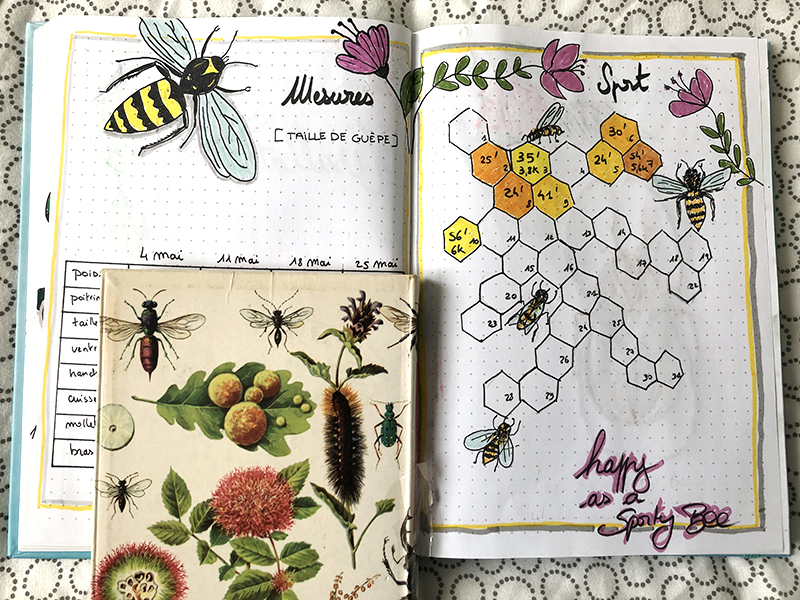 sport ligne bullet journal mai